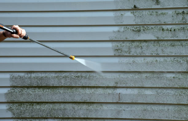 Best Solar Panel Cleaning  in Essexville, MI